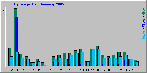 Hourly usage for January 2005